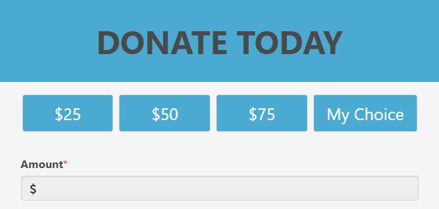 dollar-handles-above-donation-form.png
